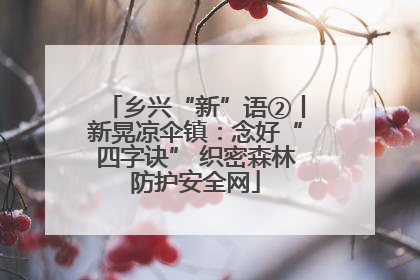 乡兴“新”语②丨新晃凉伞镇：念好“四字诀” 织密森林防护安全网