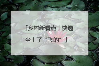 乡村新看点丨快递坐上了“飞的”