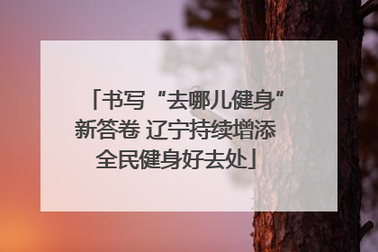 书写“去哪儿健身”新答卷 辽宁持续增添全民健身好去处