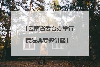 云南省委台办举行民法典专题讲座