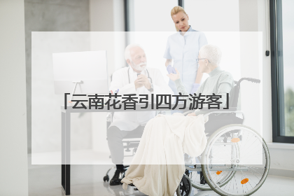 云南花香引四方游客