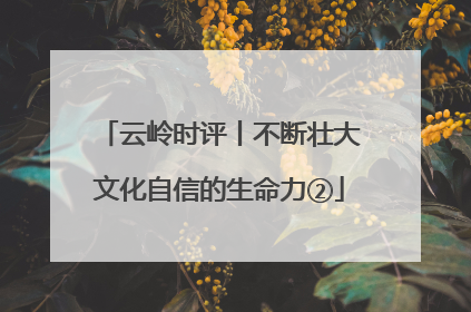 云岭时评丨不断壮大文化自信的生命力②