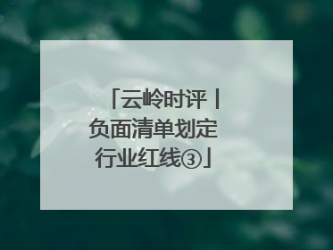 云岭时评丨负面清单划定行业红线③