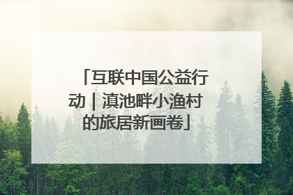 互联中国公益行动｜滇池畔小渔村的旅居新画卷