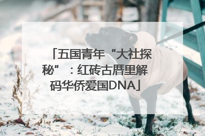 五国青年“大社探秘”：红砖古厝里解码华侨爱国DNA