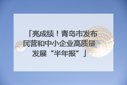 亮成绩！青岛市发布民营和中小企业高质量发展“半年报”
