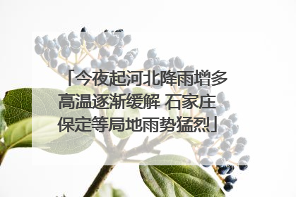 今夜起河北降雨增多高温逐渐缓解 石家庄保定等局地雨势猛烈