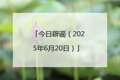 今日辟谣（2025年6月20日）