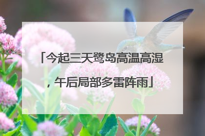 今起三天鹭岛高温高湿，午后局部多雷阵雨