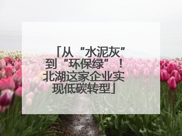 从“水泥灰”到“环保绿”！北湖这家企业实现低碳转型