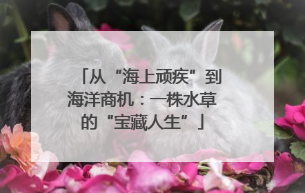 从“海上顽疾”到海洋商机：一株水草的“宝藏人生”