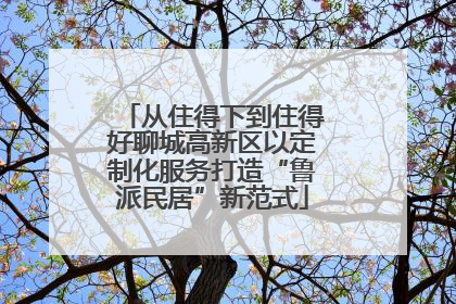 从住得下到住得好聊城高新区以定制化服务打造“鲁派民居”新范式