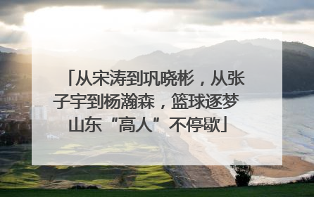 从宋涛到巩晓彬，从张子宇到杨瀚森，篮球逐梦山东“高人”不停歇