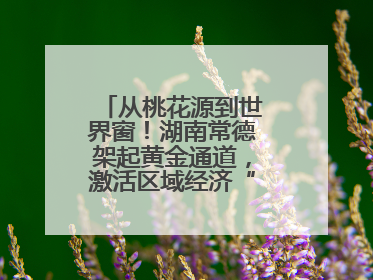 从桃花源到世界窗！湖南常德架起黄金通道，激活区域经济“一池春水”