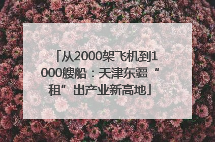 从2000架飞机到1000艘船：天津东疆“租”出产业新高地