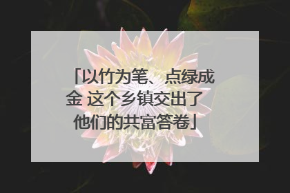 以竹为笔、点绿成金 这个乡镇交出了他们的共富答卷