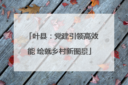 叶县：党建引领高效能 绘就乡村新图景