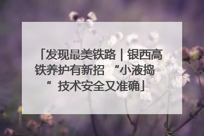 发现最美铁路｜银西高铁养护有新招 “小液捣”技术安全又准确