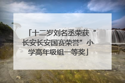 十二岁刘名丞荣获“长安长安国赛荣誉”小学高年级组一等奖
