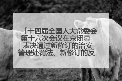 十四届全国人大常委会第十六次会议在京闭幕  表决通过新修订的治安管理处罚法、新修订的反不正当竞争法  习近平签署主席令予以公布  赵乐际主持会议