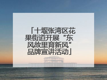 十堰张湾区花果街道开展“东风故里育新风”品牌宣讲活动