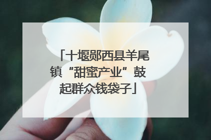 十堰郧西县羊尾镇“甜蜜产业”鼓起群众钱袋子