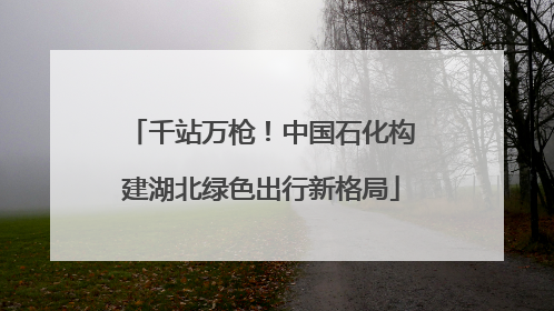 千站万枪！中国石化构建湖北绿色出行新格局