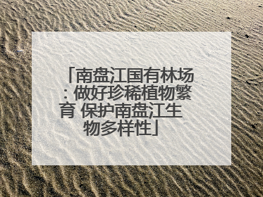 南盘江国有林场：做好珍稀植物繁育 保护南盘江生物多样性