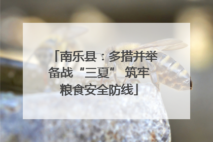 南乐县：多措并举备战“三夏” 筑牢粮食安全防线