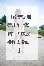 南宁惊现婴儿车“遛鸭”！这波操作太吸睛