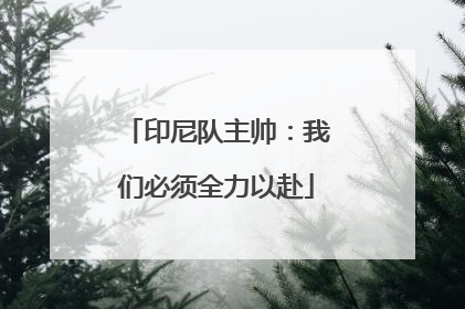 印尼队主帅：我们必须全力以赴