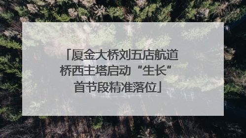 厦金大桥刘五店航道桥西主塔启动“生长” 首节段精准落位