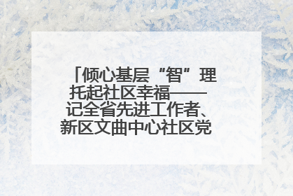 倾心基层“智”理 托起社区幸福——记全省先进工作者、新区文曲中心社区党委书记董世弘