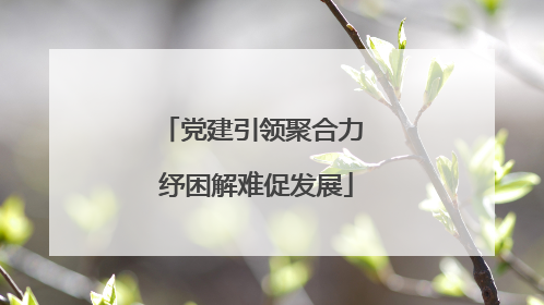 党建引领聚合力 纾困解难促发展