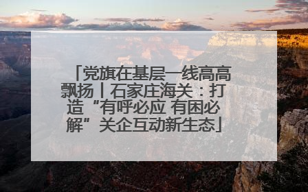 党旗在基层一线高高飘扬丨石家庄海关：打造“有呼必应 有困必解”关企互动新生态