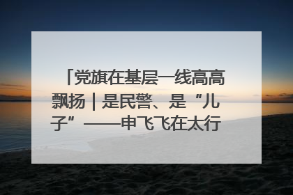 党旗在基层一线高高飘扬｜是民警、是“儿子”——申飞飞在太行山中的一线坚守
