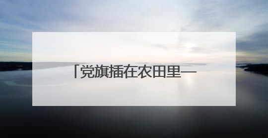 党旗插在农田里——潍柴雷沃守护大国粮安的红色密码