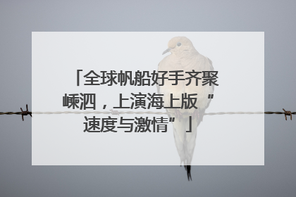 全球帆船好手齐聚嵊泗，上演海上版“速度与激情”