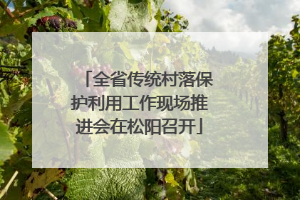 全省传统村落保护利用工作现场推进会在松阳召开