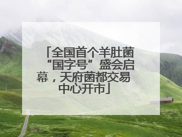 全国首个羊肚菌“国字号”盛会启幕，天府菌都交易中心开市