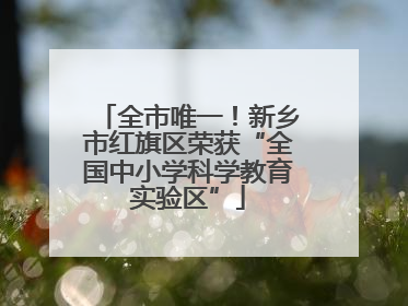全市唯一！新乡市红旗区荣获“全国中小学科学教育实验区”