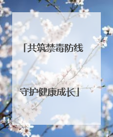 共筑禁毒防线 守护健康成长