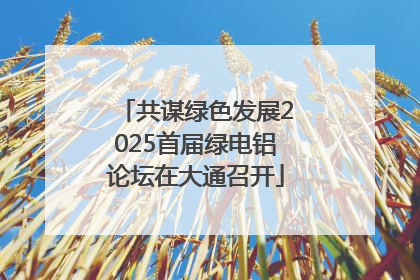 共谋绿色发展2025首届绿电铝论坛在大通召开