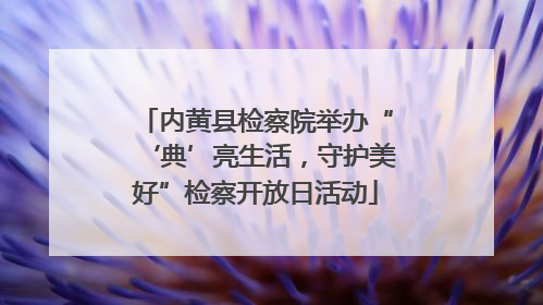 内黄县检察院举办“‘典’亮生活，守护美好”检察开放日活动