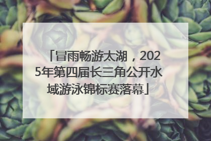 冒雨畅游太湖，2025年第四届长三角公开水域游泳锦标赛落幕