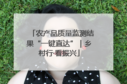 农产品质量监测结果“一键直达”｜乡村行·看振兴