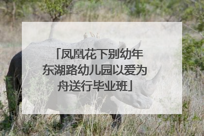 凤凰花下别幼年 东湖路幼儿园以爱为舟送行毕业班