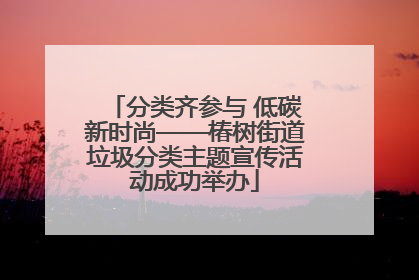 分类齐参与 低碳新时尚——椿树街道垃圾分类主题宣传活动成功举办