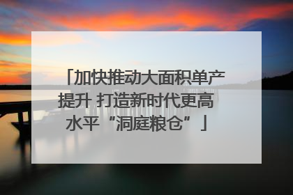 加快推动大面积单产提升 打造新时代更高水平“洞庭粮仓”