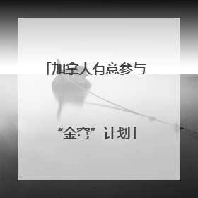 加拿大有意参与“金穹”计划